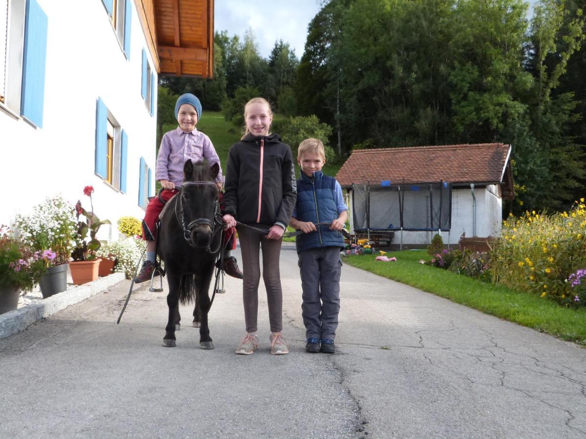 Apartament Weissenbach'S Ferienhof Wertach Zewnętrze zdjęcie